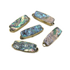 1" Iridescent Rainbow Natural Abalone Shell Long Rectangle Shaped Gold Plated Bezel Connector - Measuring 13mm x 33mm.