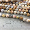 10mm Smooth Round/Ball Shaped Multicolor Yellow Crazy Lace Agate Beads - 15.25" Strand (Approx. 39 Beads) - Natural Semi-Precious Gemstone