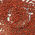 Size 11/0 Glossy Finish Orange Coated Brass Seed Beads with 1.1mm Holes - Sold by 2", 13 Gram Tubes (~700 Beads per Tube) - (MT11-ORN)