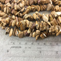 Natural Picture Jasper Chunky Nugget Shaped Beads with 1mm Holes - Sold by 16" Strands (Approx. 75-80 Beads) - Measuring 10-15mm Wide