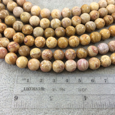 10mm Glossy Finish Natural Tan/Yellow Fossilized Coral Round/Ball Shaped Beads with 1mm Holes - Sold by 15.5" Strands (Approx. 42 Beads)
