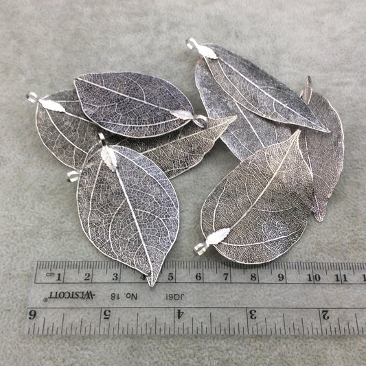 Large Oxidized Silver Finish Electroplated Copper Leaf Pendants with Attached Bail - Measuring 60-75mm Long - Sold Individually