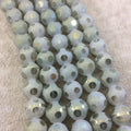 12mm Transparent Spotted Matte Finish AB Dark Sage Green Glass Crystal Round/Ball Beads - 12.5" Strands (Approx. 25 Beads) - (CC12MP-086)