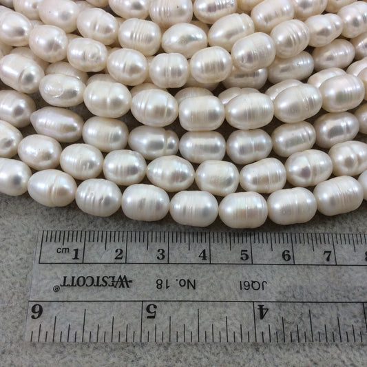 10mm-12mm AB Quality Natural Freshwater White Rice/Oval Shaped Beads - 14.25" Strand (Approx. 33 Beads) - Sold by the Strand