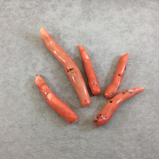 50-100mm Top Drilled Finger Shaped Orange-Red Natural Coral Beads - Packs Of 5