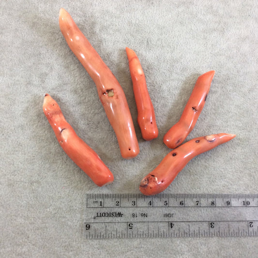 50-100mm Top Drilled Finger Shaped Orange-Red Natural Coral Beads - Packs Of 5