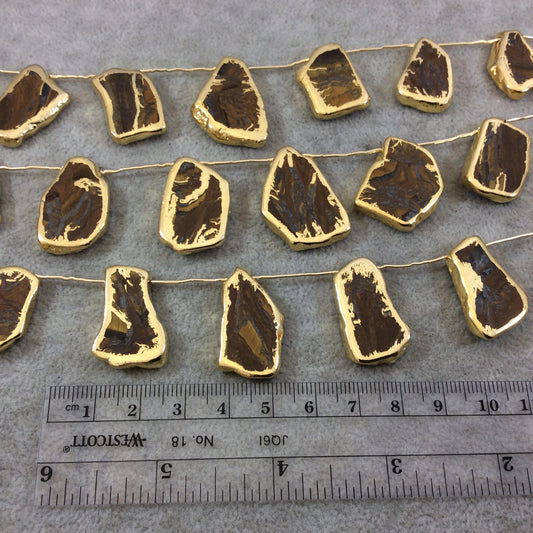 Gold Electroplated Smooth Freeform Slab Shaped Natural Tiger Iron Top-Drilled Beads - 9" Strand (9 Beads) - Measures ~ 17mm x 25mm.