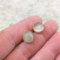 One Pair of Pale Gray Synthetic Cat's Eye Round Shaped Gold Plated Stud Earrings with NO ATTACHED Jump Rings - Measuring 10mm x 10mm