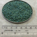 Size 11/0 Frosted Finish Fancy Frosted Leaf Green Genuine Miyuki Glass Seed Beads - Sold by 23 Gram Tubes (~ 2500 Beads / Tube) - (11-92031)