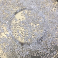 1mm x 3mm Glossy Clear Crystal Genuine Miyuki Glass Seed Spacer Beads - Sold by 8 Gram Tubes (Approx. 520 Beads per Tube) - (SPR3-131)