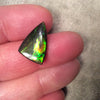 OOAK Backed Ammonite Triangle Shaped Flat Back Cabochon "AMJ" - Measuring 12mm x 19mm, 4mm Dome Height - Natural High Quality Fossil