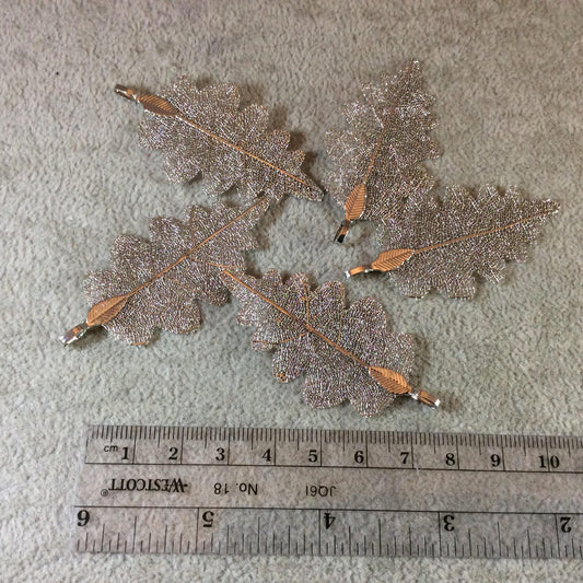 Large Bright Silver Finish Electroplated Copper Scalloped Leaf Pendant with Attached Bail - Measuring Approx. 50mm Long - Sold Individually