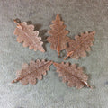 Large Rose Gold Finish Electroplated Copper Scalloped Leaf Pendant with Attached Bail - Measuring Approx. 50mm Long - Sold Individually
