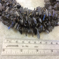 Gray Labradorite Spike/Stick Shaped Beads - 15" Strand (Approximately 145 Beads) - Measuring 3-5mm x 12-25mm - Semi-Precious Gemstone