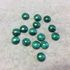 BULK LOT of Six (6) Assorted Round Shaped AAA Malachite Flat Back Cabochons - Measuring 8mm x 8mm, 3mm Dome Height - Randomly Selected