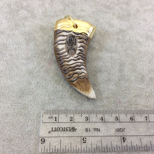 2.25" Gold Electroplated Tooth/Fang/Tusk Hieroglyphic Shaped Lightweight Resin Pendant  - Measuring ~ 35mm x 55mm - Sold Individually