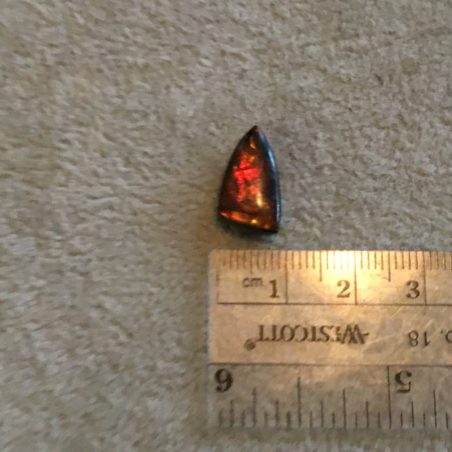 OOAK Backed Ammonite Freeform Triangle Shaped Flat Back Cabochon "20" - Measuring 9mm x 17mm, 3mm Dome Height - Natural High Quality Fossil