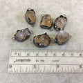 Citrine Quartz Bezel | Gunmetal Finish Medium Raw Nugget Genuine Wavy Bezel Connector - ~ 16mm - 20mm Long - Sold Individually