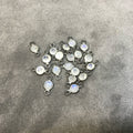 BULK PACK of Six (6) Gunmetal Sterling Silver Pointed/Cut Stone Faceted Round/Coin Shaped Moonstone Bezel Connectors - Measuring 4mm x 4mm