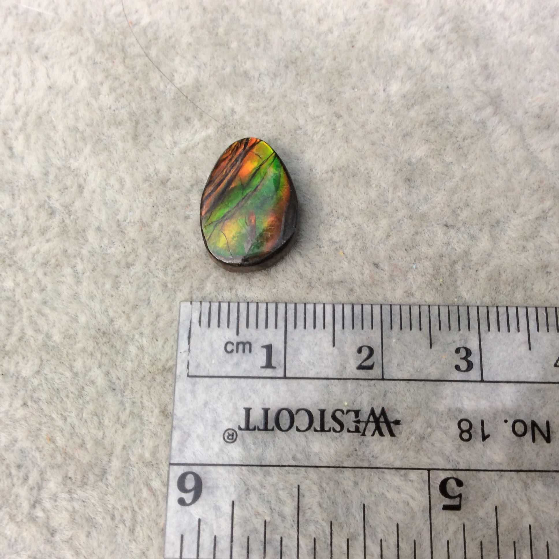 OOAK Backed Ammonite Teardrop Shaped Flat Back Cabochon "AMC" - Measuring 11mm x 15mm, 3mm Dome Height - Natural High Quality Fossil