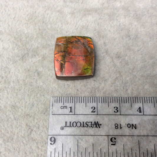 OOAK Backed Ammonite Rectangle Shaped Flat Back Cabochon "AMO" - Measuring 20mm x 22mm, 4mm Dome Height - Natural High Quality Fossil