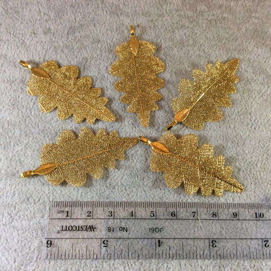 Large Bright Gold Finish Electroplated Copper Scalloped Leaf Pendant with Attached Bail - Measuring Approx. 50mm Long - Sold Individually