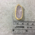 Jeweler's Lot  of One Gold Electroformed Natural Rough Rose Quartz Freeform Pendant "RQE04"- ~  15mm x 30mm - Quality Raw Gemstone