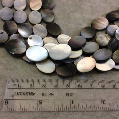 Smooth Flat Oval Shaped Iridescent Black Lip Shell Beads - 16" Strand (Approx. 22 Beads) - Measuring 13mm x 18mm - Natural Shell Beads