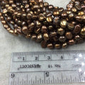3mm x 6-8mm Natural Metallic Bronze Freshwater Pearl Button/Potato Shape Beads - 15.5" Strand Approx. 66 Beads - Sold by the Strand