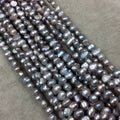 3mm x 6-8mm Natural Metallic Silver Freshwater Pearl Button/Potato Shape Beads - 15.5" Strand Approx. 66 Beads - Sold by the Strand