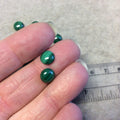 BULK LOT of Six (6) Assorted Round Shaped AAA Malachite Flat Back Cabochons - Measuring 8mm x 8mm, 3mm Dome Height - Randomly Selected