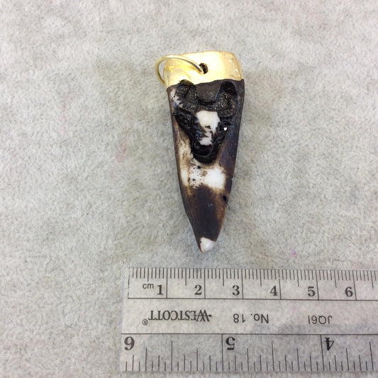 2.5" Gold Electroplated Black/White/Brown Tooth/Fang/Tusk Shape Lightweight Resin Pendant W/ Steer Head - ~ 25mm x 60mm - Sold Individually