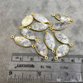 Gold Plated Natural Dendritic Opal Faceted Marquise  Shaped Copper Bezel Connector - Measures 10mm x 20mm - Sold Individually, Random