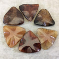 Natural Orange/Red Dragon Vein Agate Wavy Triangle Beads -   - Measures 40mm x 40mm, Approximately - Sold Individually, Chosen at Random