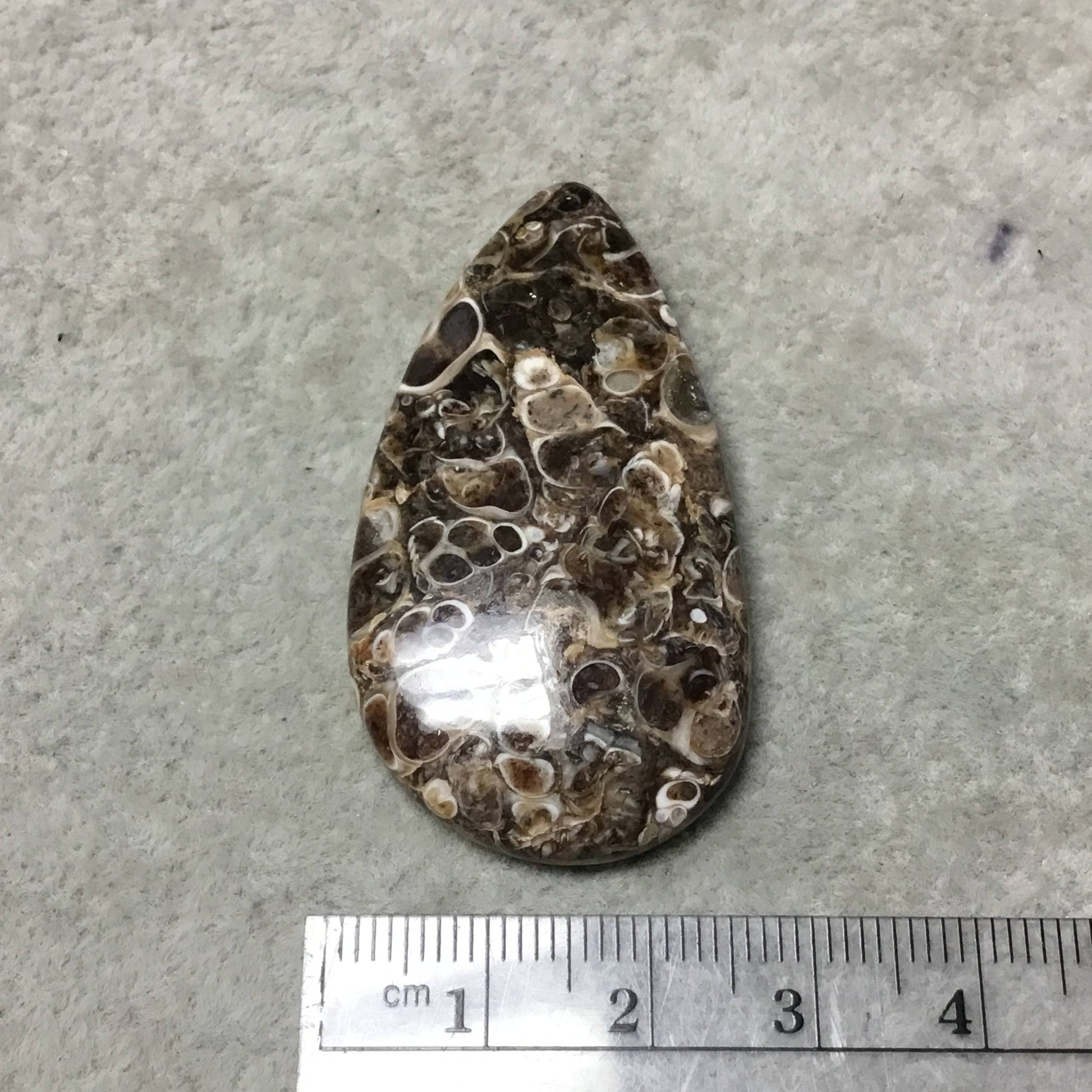 OOAK Natural Turitella Fossil Pear/Teardrop Shape Flat Back Cabochon "4" - Measuring 27mm x 48mm, 5mm Dome Height - Natural Quality Gemstone