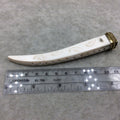 SALE - 4.5" White/Ivory Squared Tusk/Claw Shaped Ox Bone Pendant with Carved Commas and Gold Cap - Measuring 18 x 105mm - (TR45WHSQCT)