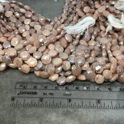 Peach Moonstone Faceted Coin Beads - 10mm Circle Shaped Beads