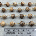 Gold Plated Copper Wrapped Rosary Chain with 10mm Smooth Natural Picture Jasper Round Shaped Beads - Sold by the Foot! (CH455-GD)!