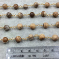 Gold Plated Copper Wrapped Rosary Chain with 8mm Smooth Natural Picture Jasper Round Shaped Beads - Sold by the Foot! (CH410-GD)!