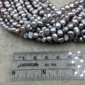 3mm x 6-8mm Natural Metallic Silver Freshwater Pearl Button/Potato Shape Beads - 15.5" Strand Approx. 66 Beads - Sold by the Strand