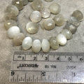 12mm Gray Moonstone Faceted Rondelle Beads
