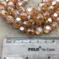 12mm Matte And Glossy Faceted Trans. Pale Orange Glass Crystal Flattened Hexagon Beads - 12.5" Strands (~ 28 Beads) - (CC12-084)
