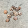 Gunmetal Plated Natural Chocolate Moonstone Faceted Rondelle Shaped Loop Connector - Measuring 8-9mm, Approx. - Sold Individually, Randomly