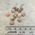 Gunmetal Plated Natural Chocolate Moonstone Faceted Rondelle Shaped Loop Connector - Measuring 8-9mm, Approx. - Sold Individually, Randomly