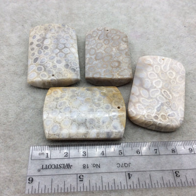 Premium Fossil Coral Rounded Rectangle Shaped Top Drilled Pendant - Measuring 30-35mm x 45-55mm,  - Natural High Quality Gemstone