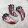 Rhinestone Encrusted Tusk/Claw Shaped Mottled Red/Cream Mookite Pendant W Gold Bail  ~ 19mm x 43mm, Approx. - Sold Individually