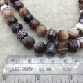 10mm x 12mm Macro-Faceted Brown/White Natural Banded Agate Lantern Shaped Beads with 1mm Holes - 15.5" Strand (Approx. 38 Beads per Strand)