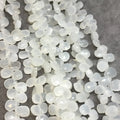 White Moonstone Teardrop Beads - 6mm x 9mm