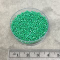 Size 11/0 Glossy Dyed Jade Green Genuine Miyuki Delica Glass Seed Beads - Sold by 7.2 Gram Tubes (Approx. 1300 Beads per 2" Tube)