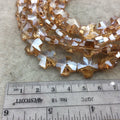 13mm x 13mm Glossy Faceted Transparent/Metallic Pale Orange Crystal Glass Cross Shaped Beads - Sold By 12" Strands (~ 22 Beads)